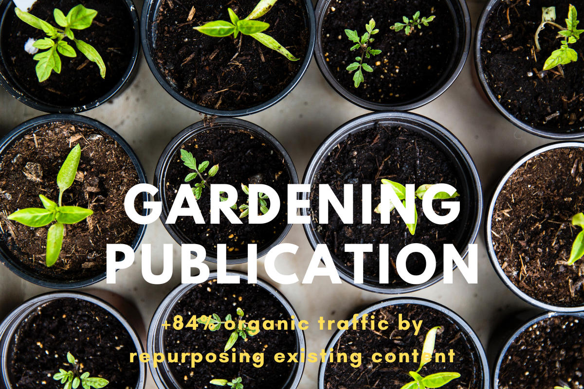 Gardening SEO case study