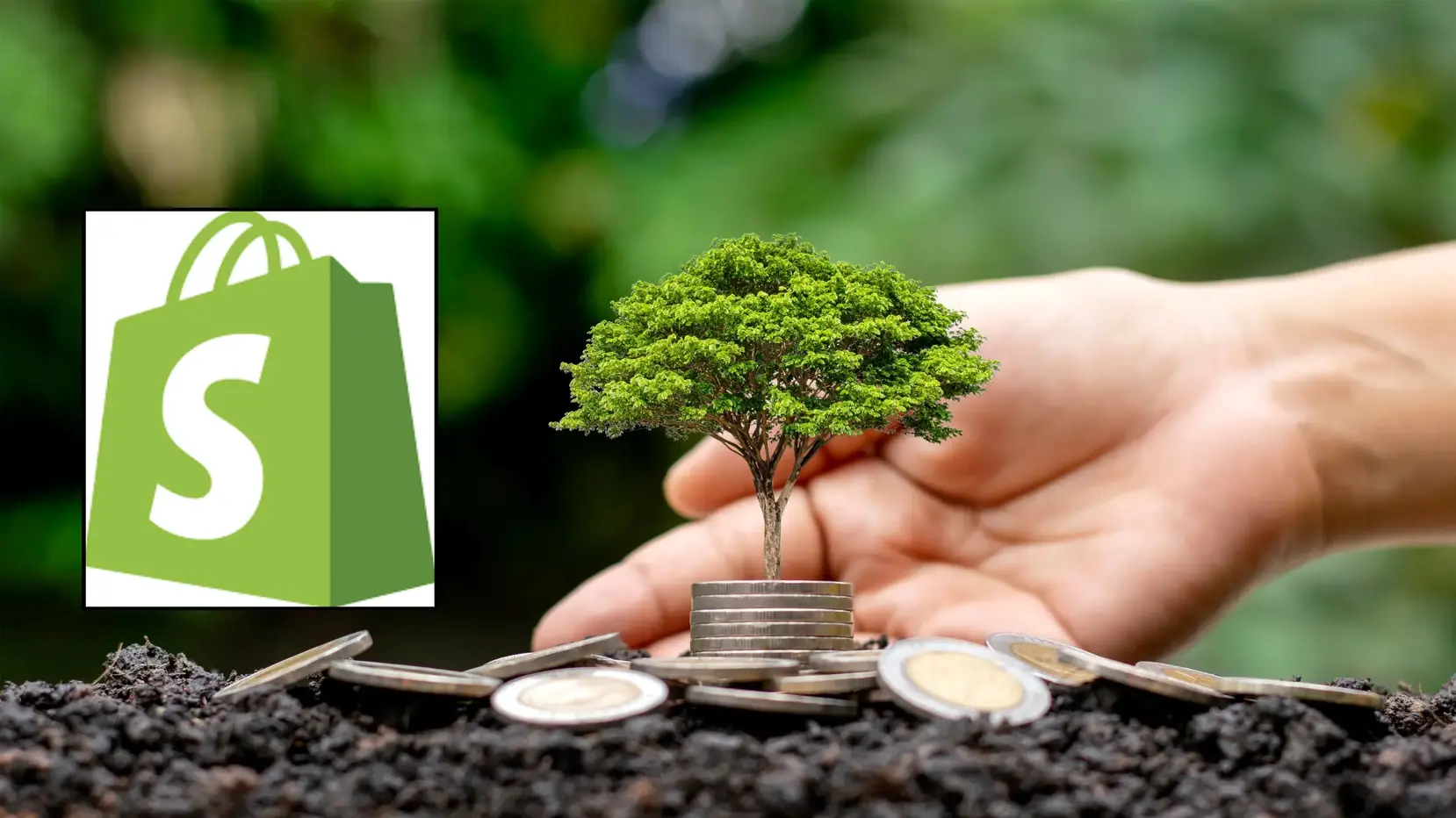 Shopify circular economy stores
